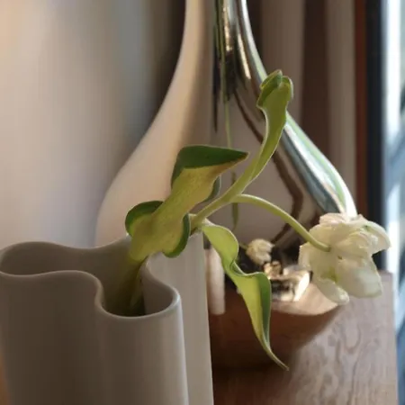 Hotel Clos Masure De Campagne